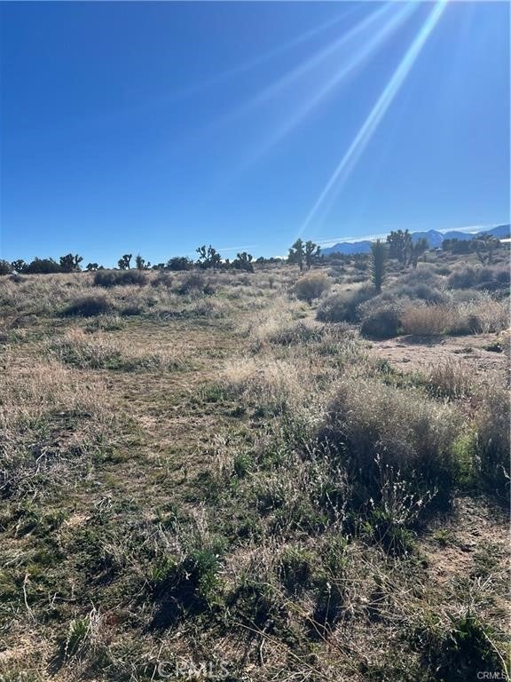 Photo of Listing #HD25067680