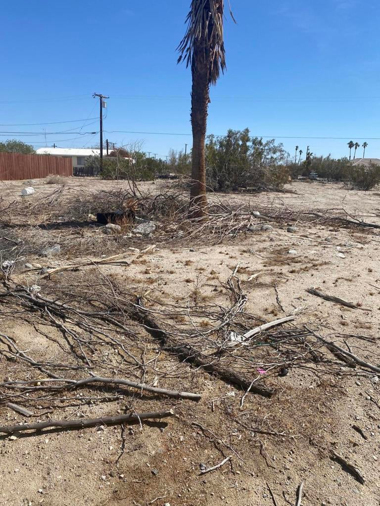 Photo of Listing #219127412DA