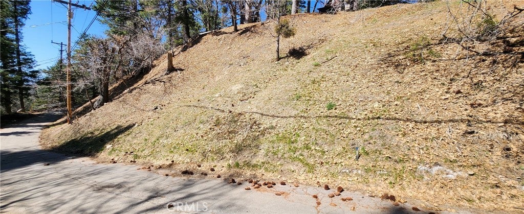 Photo of Listing #IG25068529