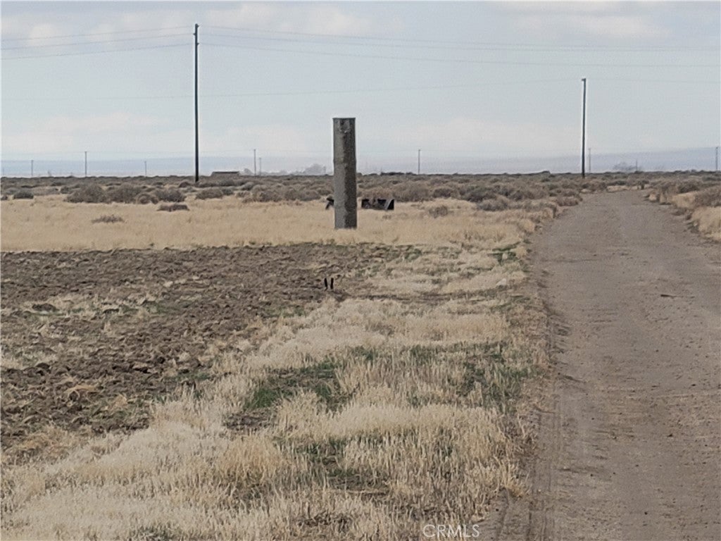 Photo of Listing #SR25068604