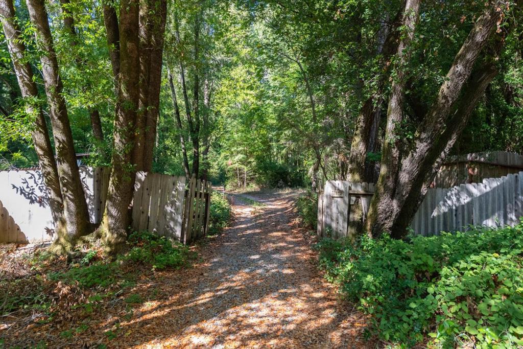 Photo of Listing #ML82000127