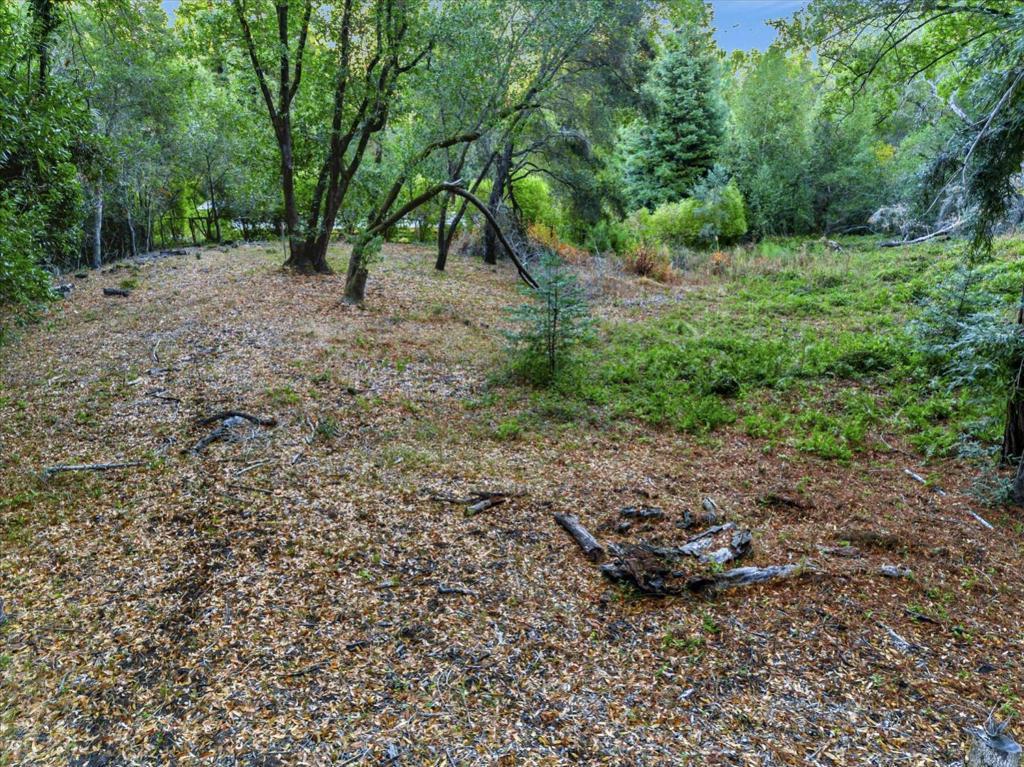 Photo of Listing #ML82000184