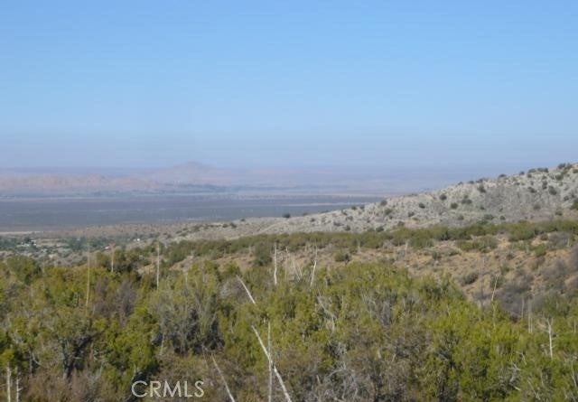 Photo of Listing #SR25069608