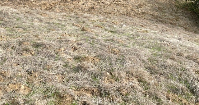 Photo of Listing #PW25069886