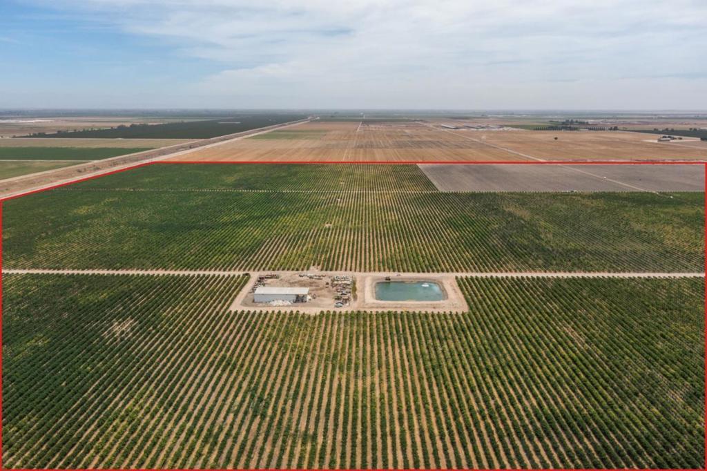 Photo of Listing #ML82000323