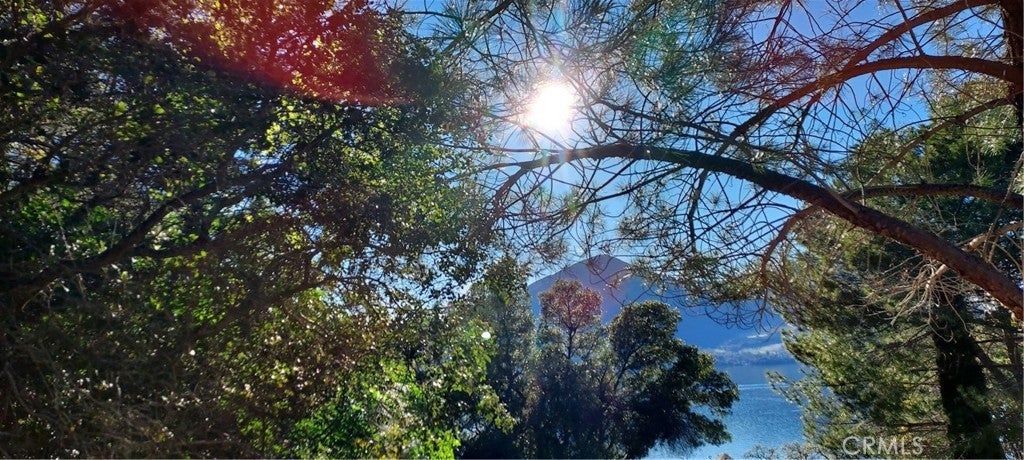 Photo of Listing #LC25070399