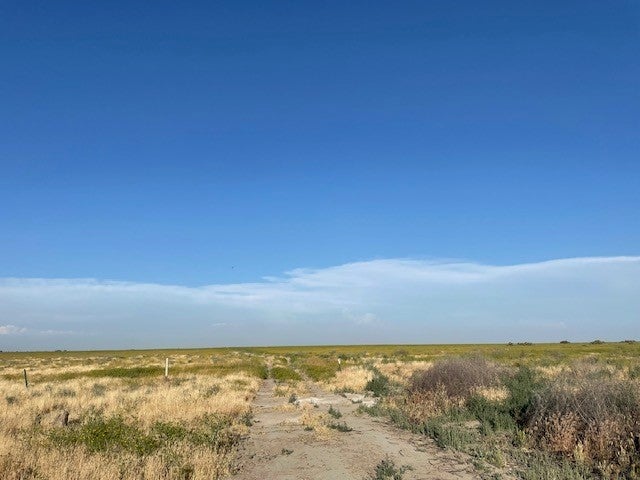 12 Poso Canal, Corcoran