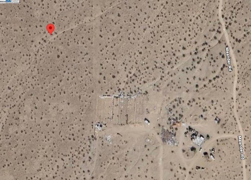 Photo of Listing #41091701