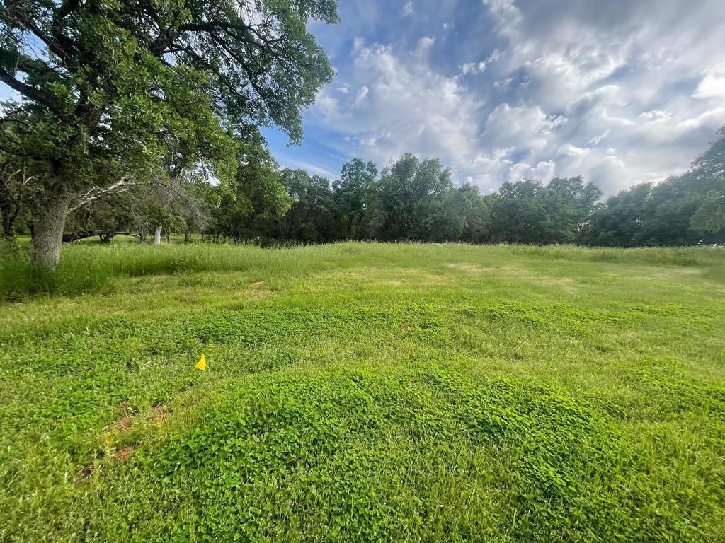 Avacado Road, Bangor