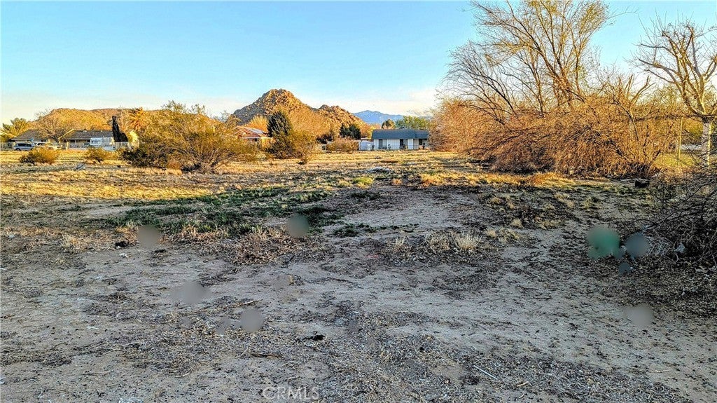 Photo of Listing #SR25071071