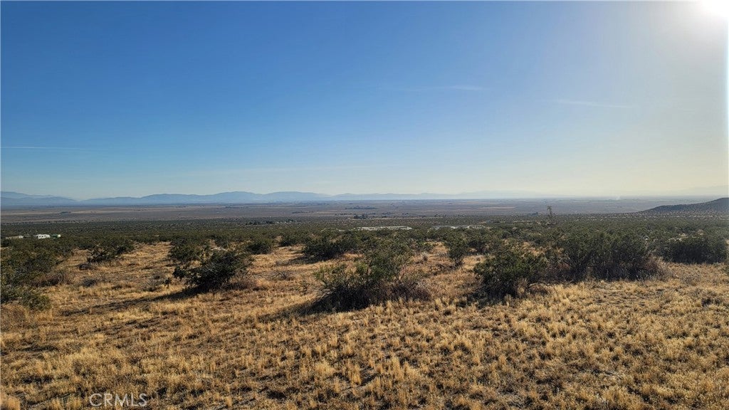 Photo of Listing #SR25073271