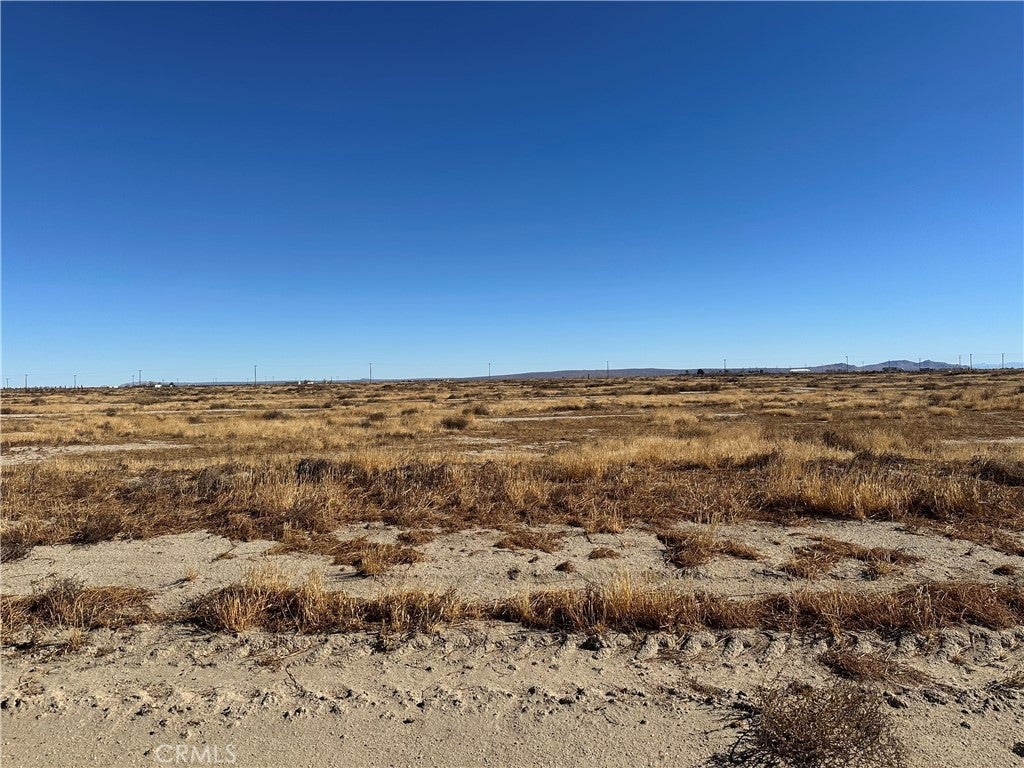 Photo of Listing #SR25073051