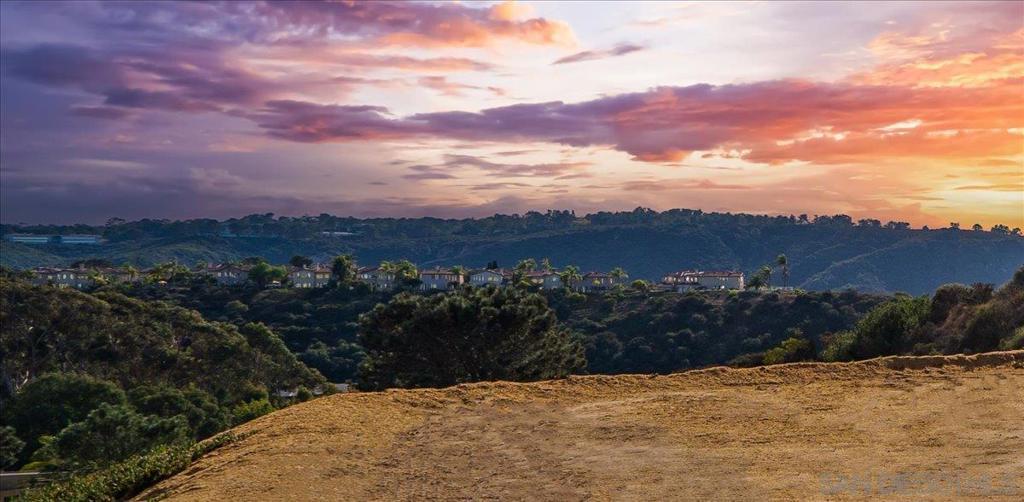 Photo of Listing #250023470SD