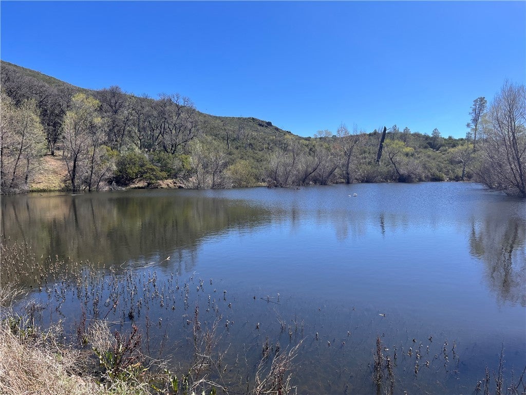 Photo of Listing #LC25071695