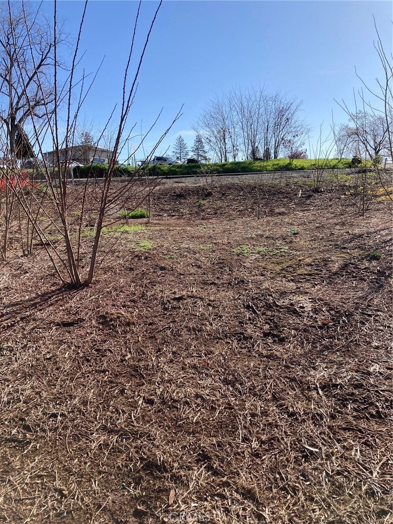 Photo of Listing #SN25074139