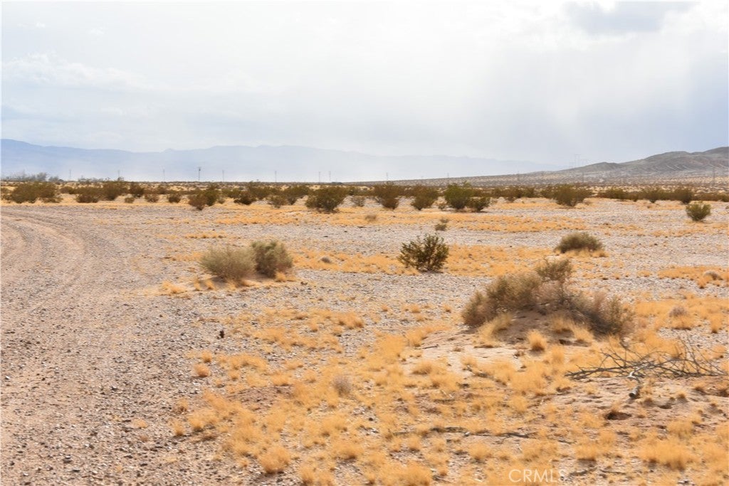 Photo of Listing #HD25051855