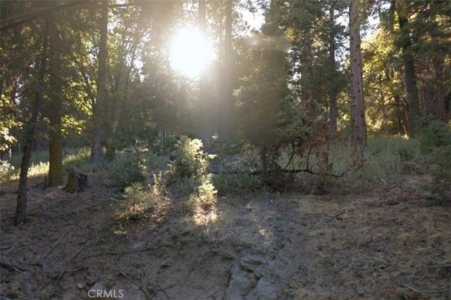 20 Burnt Mill Canyon Road, Cedarpines Park