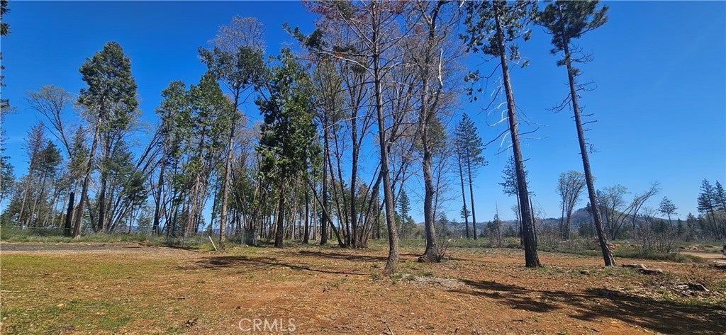 Photo of Listing #SN25074472