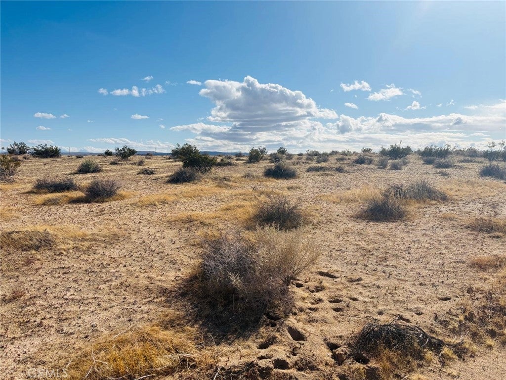 Photo of Listing #HD25074484