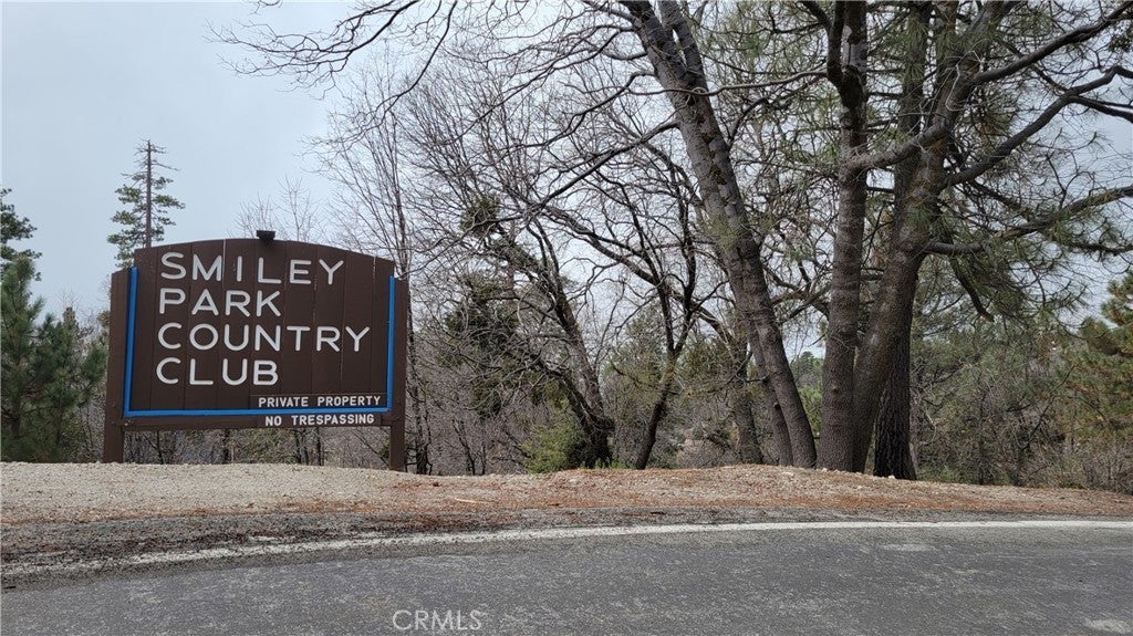 Photo of Listing #IG25074514