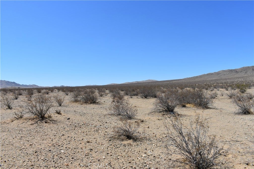 Photo of Listing #HD25051911