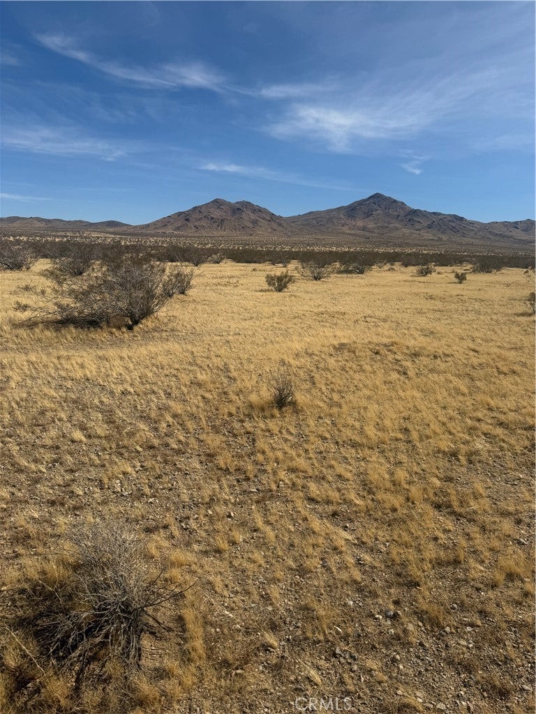 Photo of Listing #RS25073432