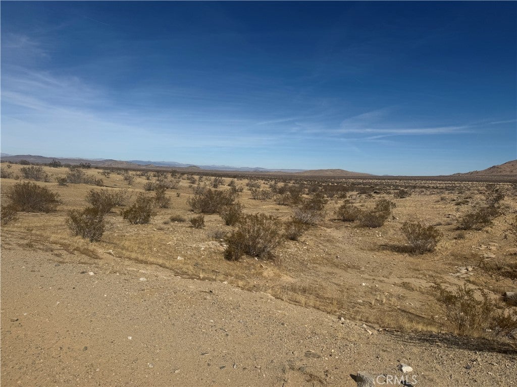 Photo of Listing #RS25073689