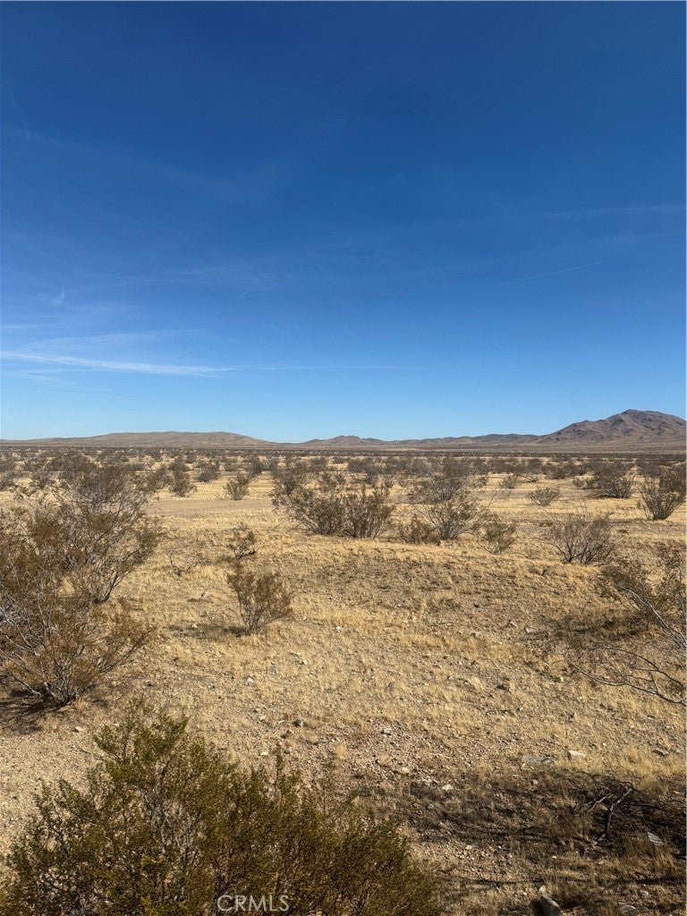 Photo of Listing #RS25073683