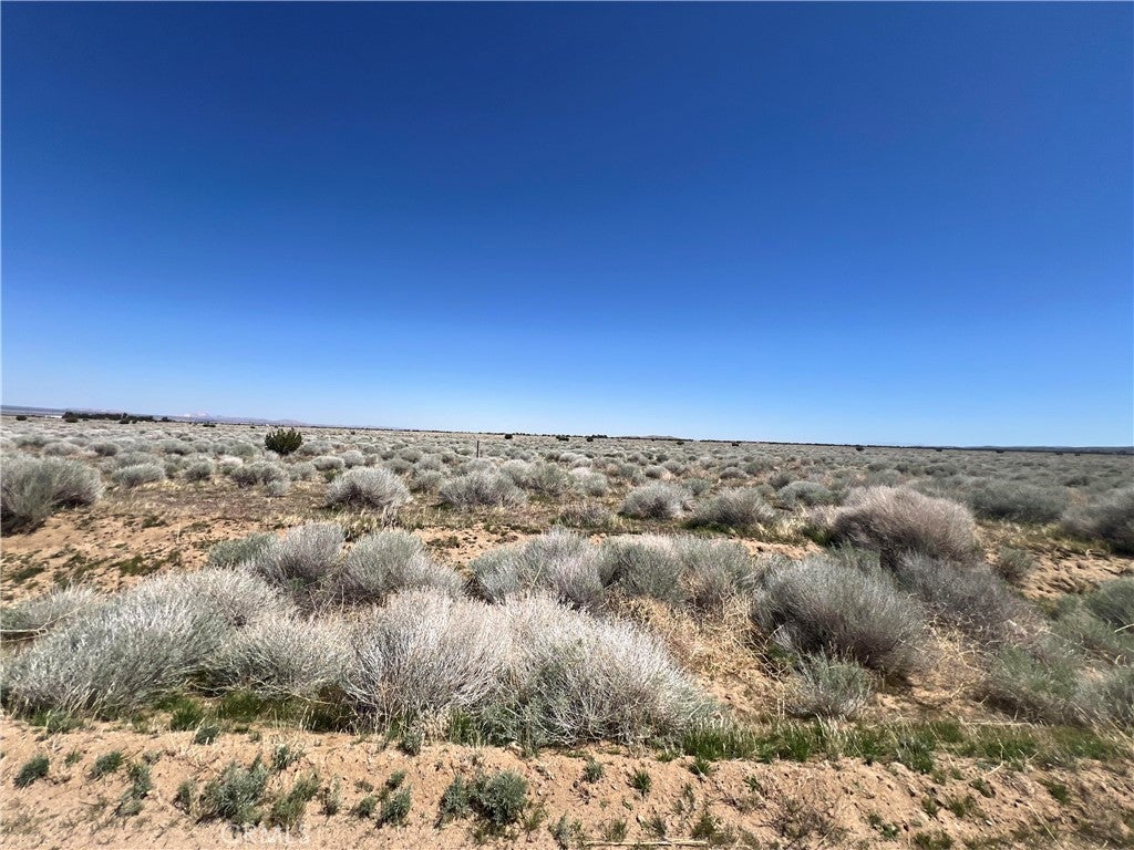 Photo of Listing #PW25072231