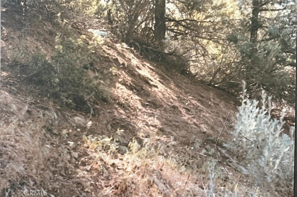 Photo of Listing #SR25075278