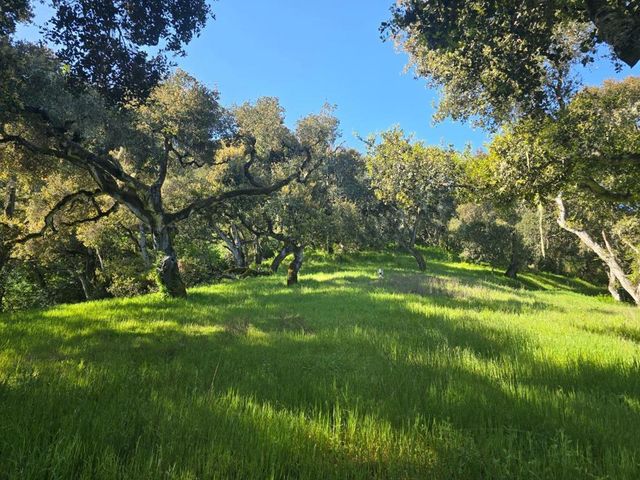 16 Sleepy Hollow Drive, Carmel Valley