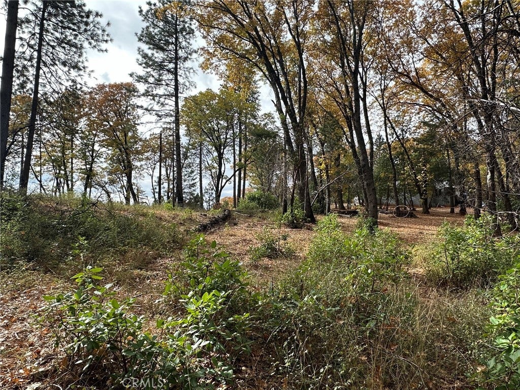 Photo of Listing #OR25075780