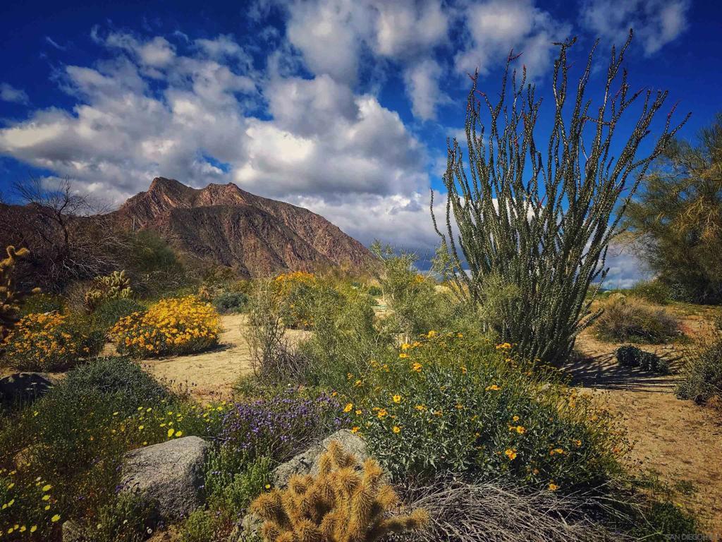 Photo of Listing #250023767SD