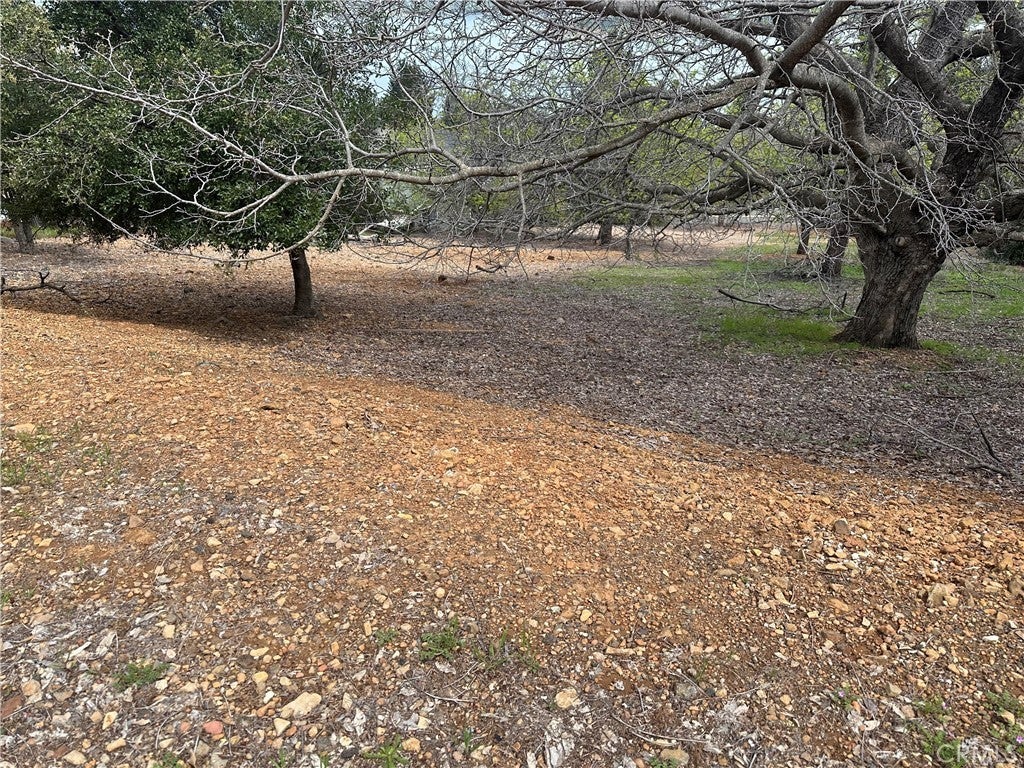 Photo of Listing #LC25075407