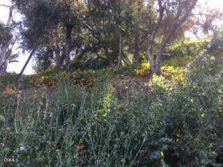 Earl Court, Los Angeles