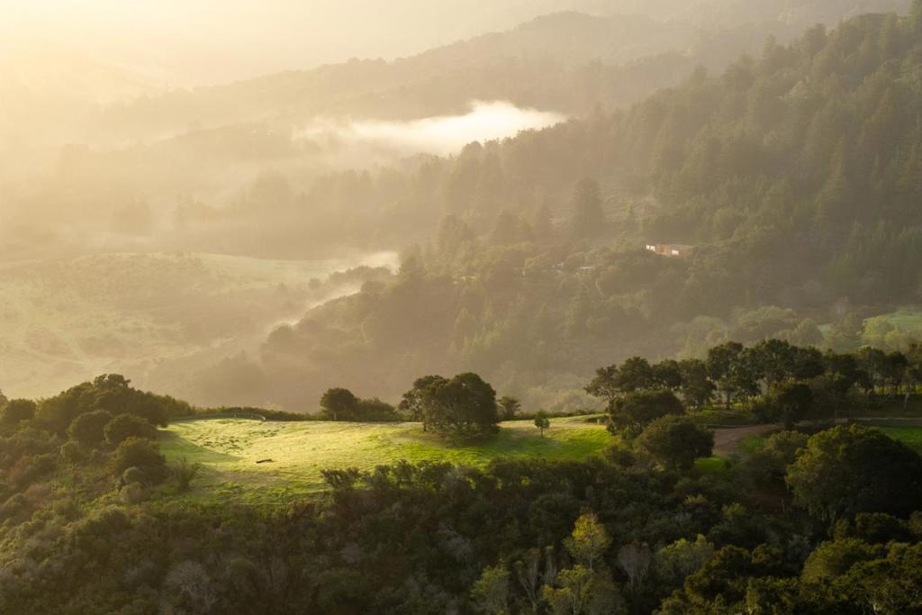 Photo of Listing #ML82001735