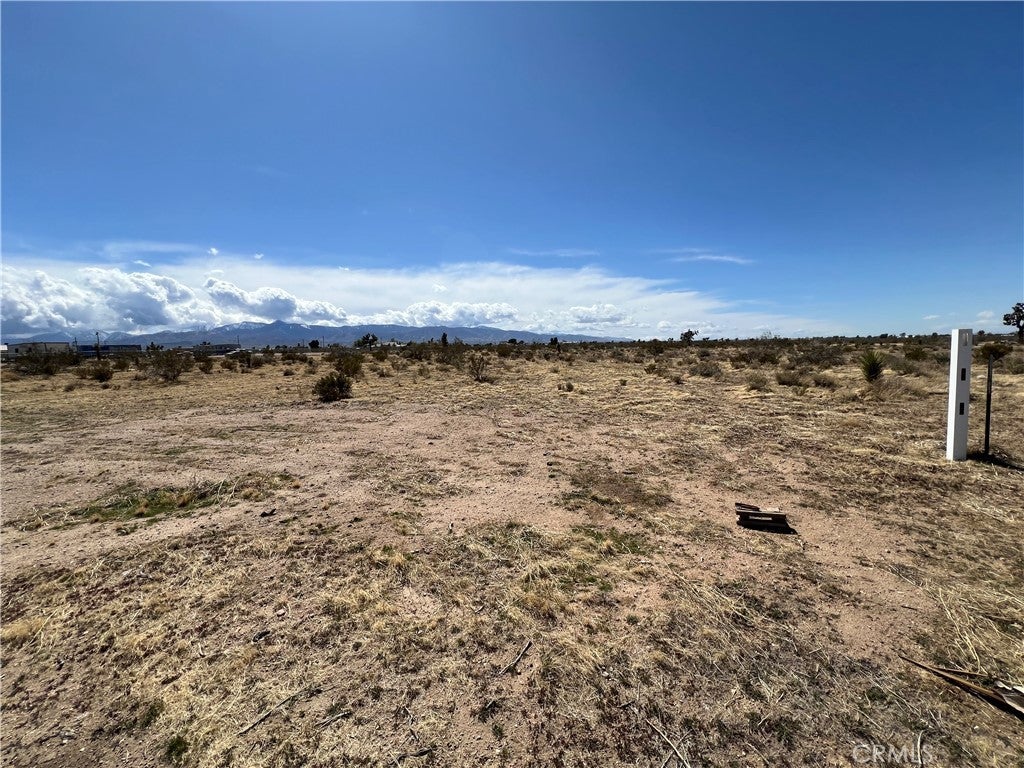 Photo of Listing #IV25071086