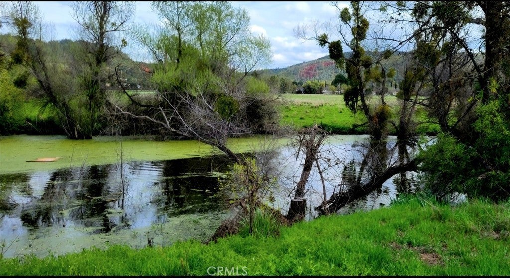 Photo of Listing #LC25078329