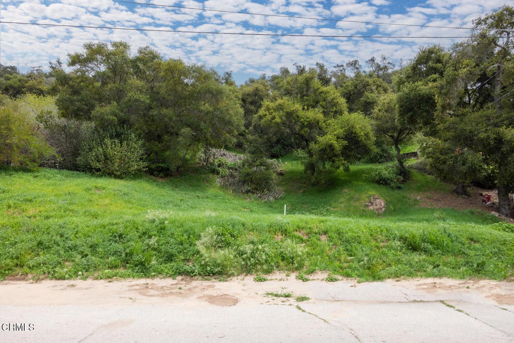 Photo of Listing #V1-29221