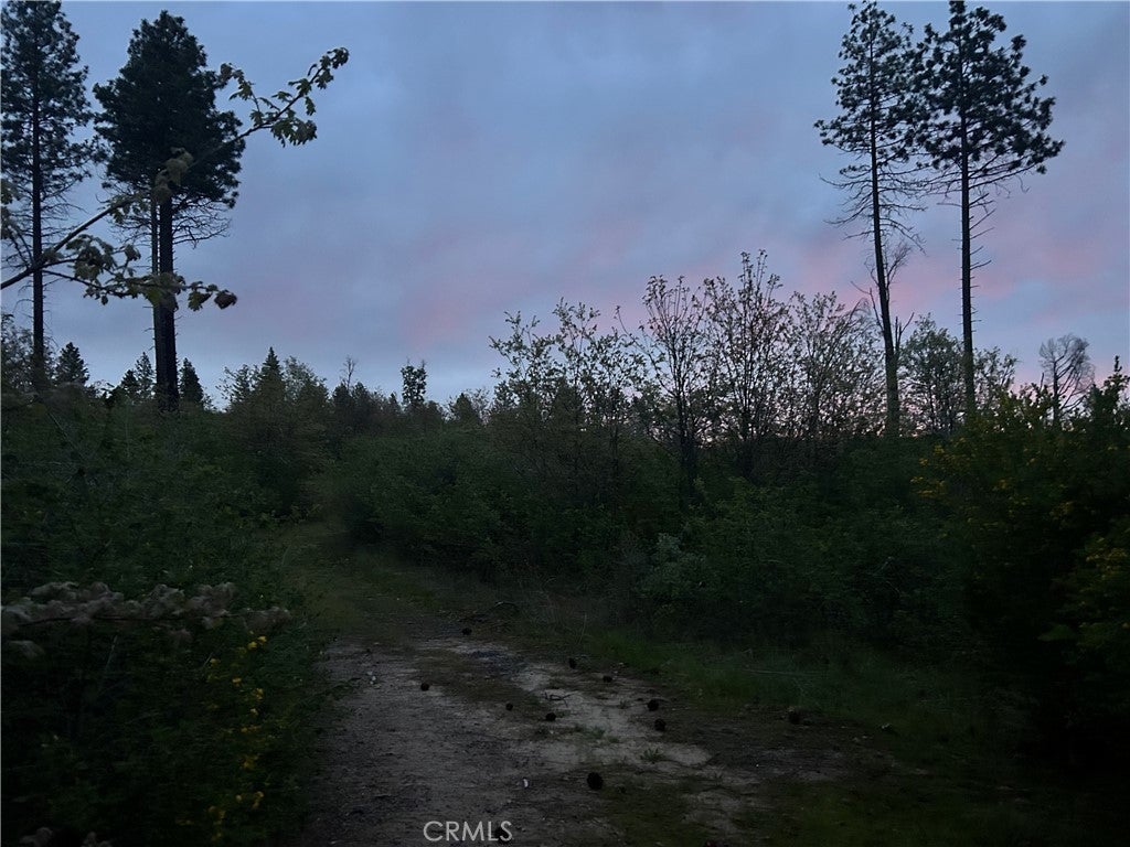 Photo of Listing #PA25079861