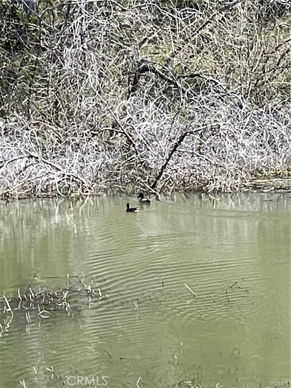 Photo of Listing #LC25080789