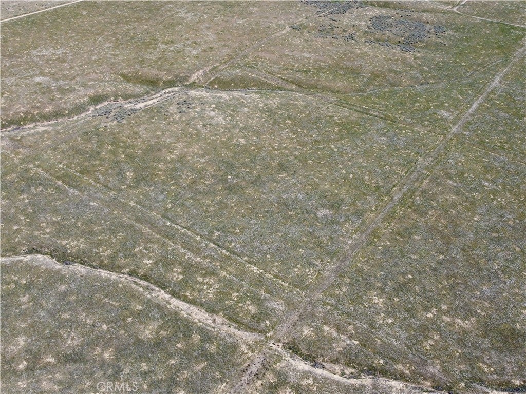 Photo of Listing #NS25080372