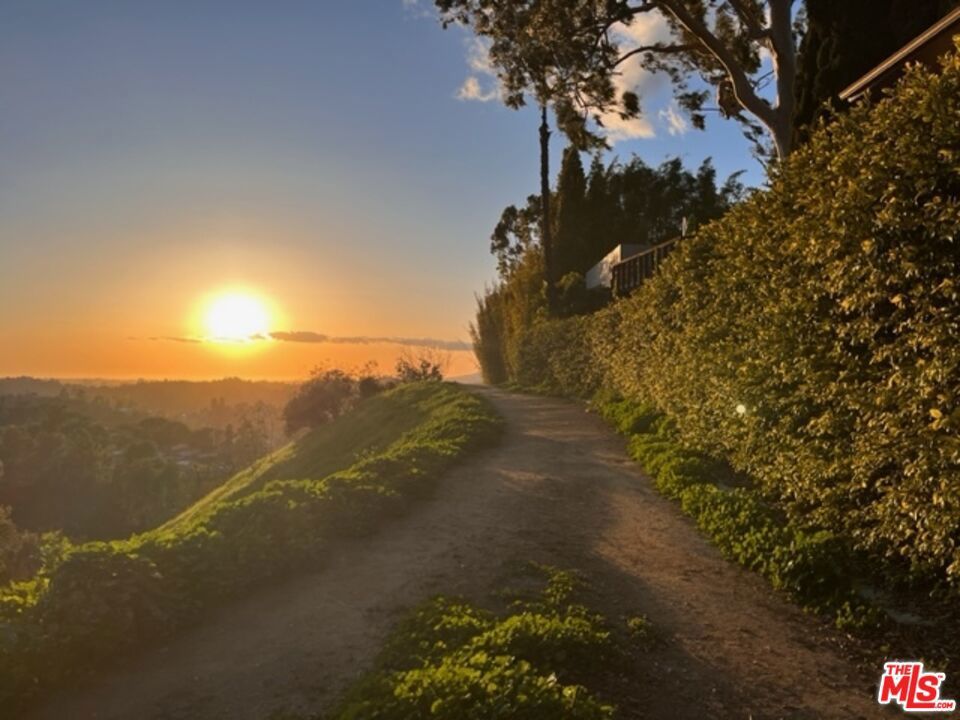 Photo of Listing #25524849