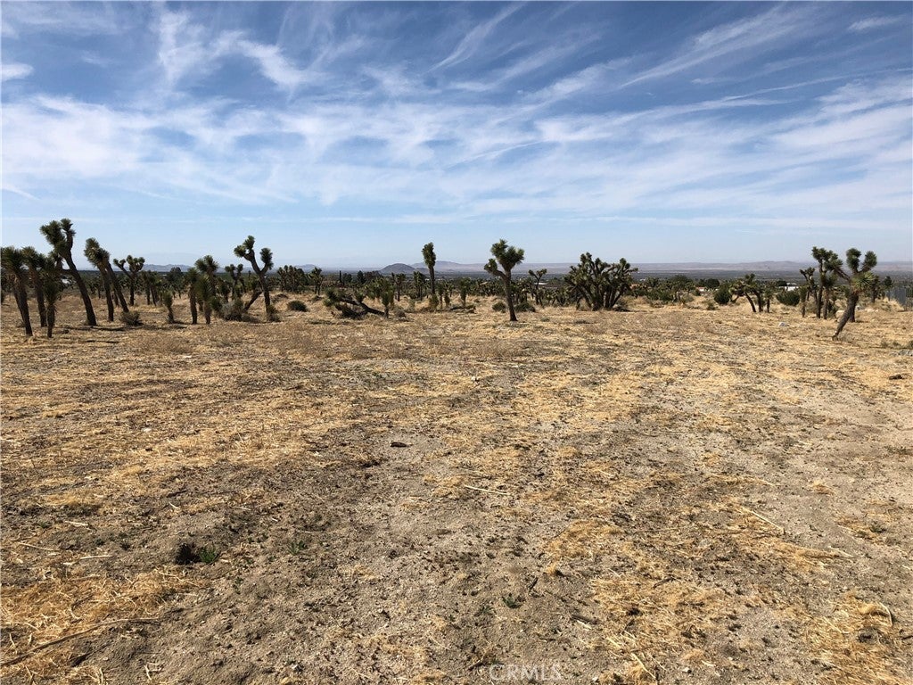 Photo of Listing #CV25082303