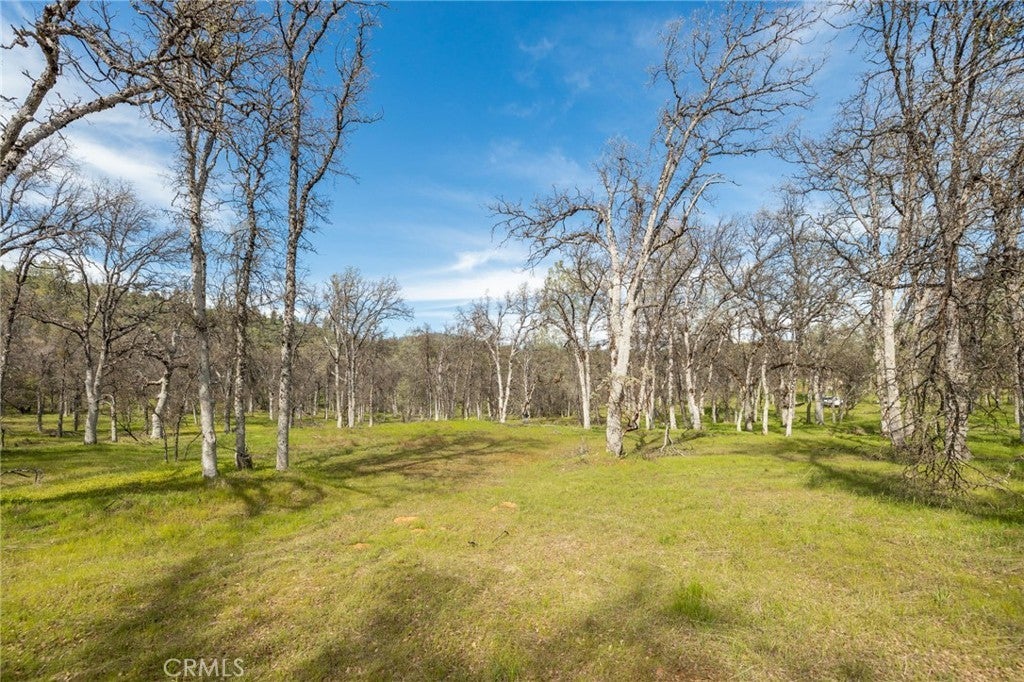5328 Whitlock Road, Mariposa