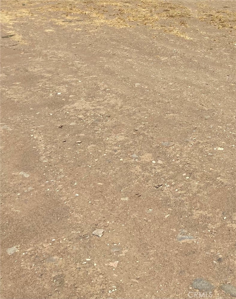 Photo of Listing #SR25085426