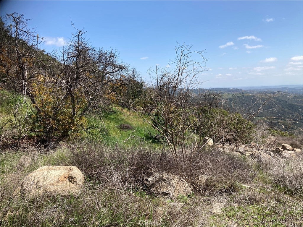 Photo of Listing #SW25086197