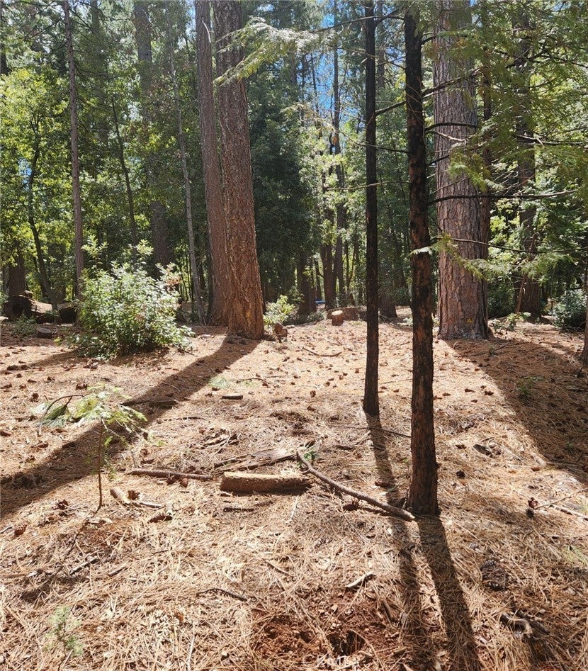 Photo of Listing #OR25084059