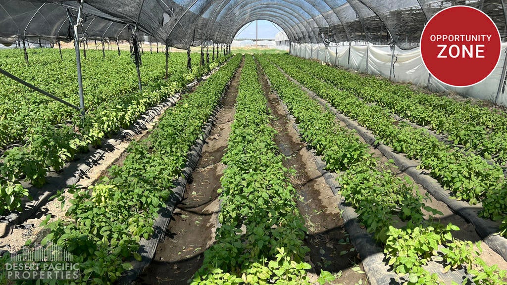 Photo of Listing #219128843DA