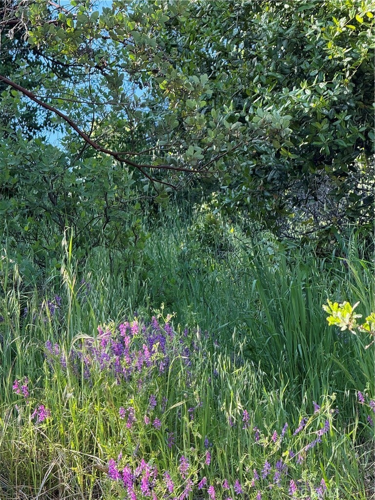 Photo of Listing #LC25088480